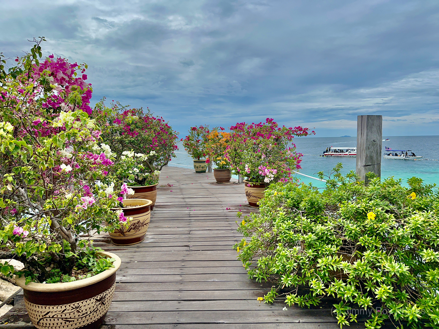 Maboul Island 7  Print