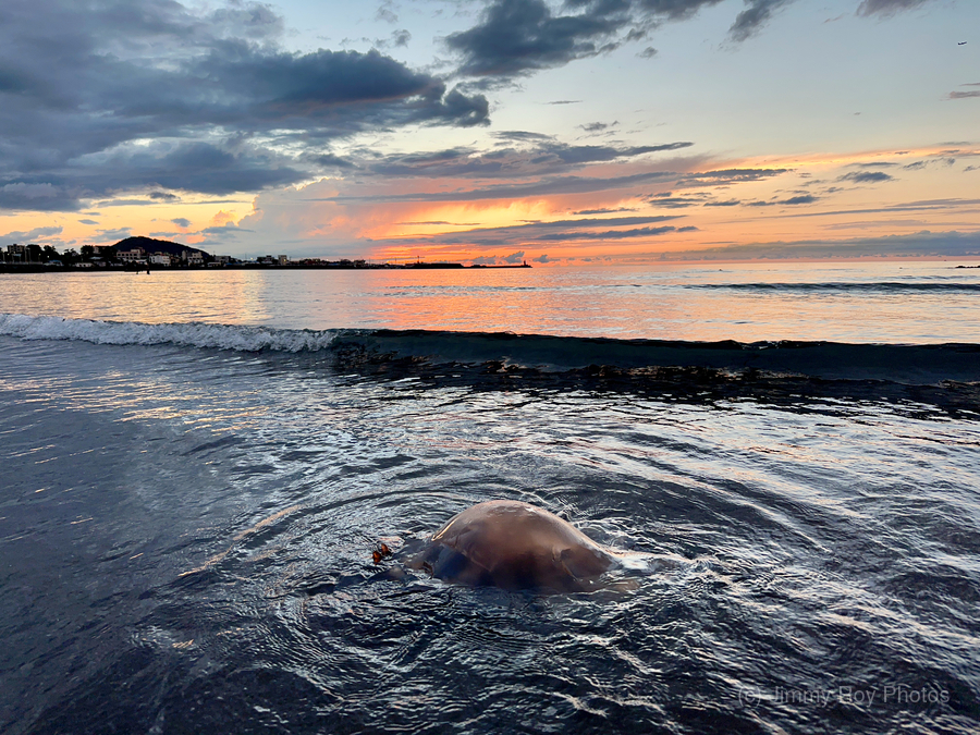 Samyang Beach Sunset Jeju South Korea 6  Print