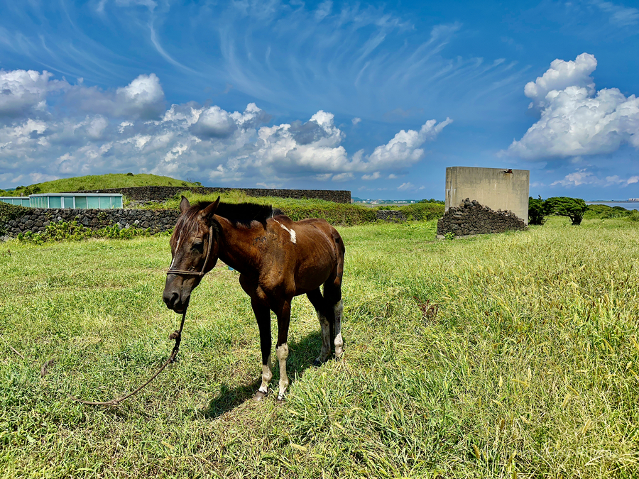 Seopjikoji Jeju South Korea 3  Print
