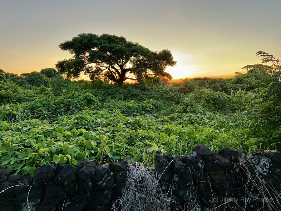 The Sunset Behind Jeju South Korea  Print
