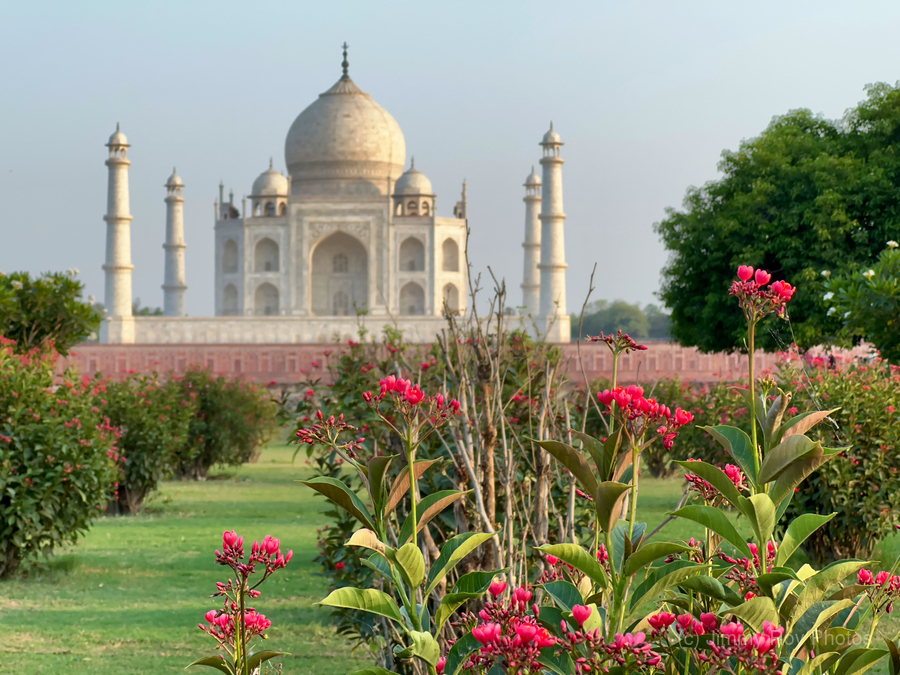 The Taj Mahal Collection 1  Print