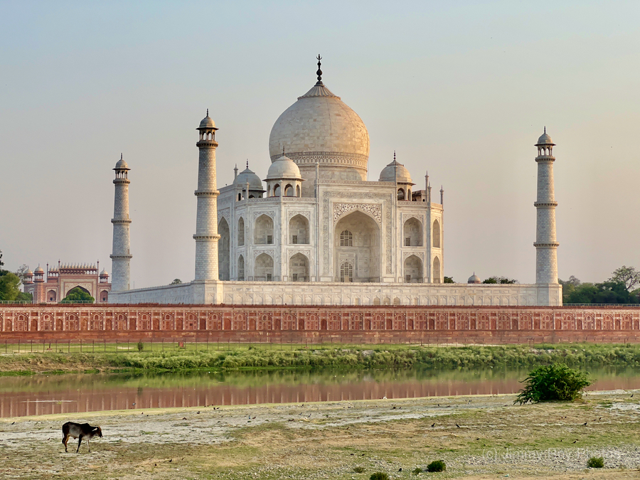 The Taj Mahal Collection 12  Print