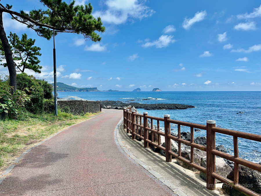 The Way Jeju South Korea  Print