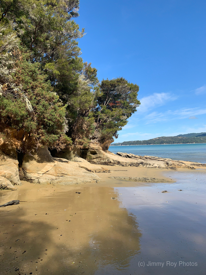 Abel Tasman National Park New Zealand 3  Print