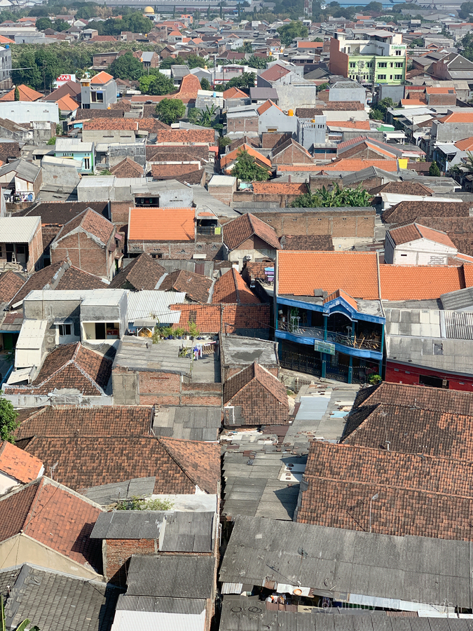 All the Roofs  Print