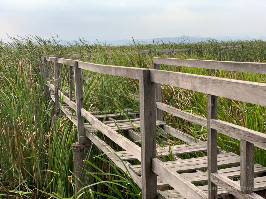 At Your Own Risks  Print