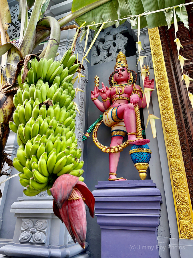 Bananas Offering  Print