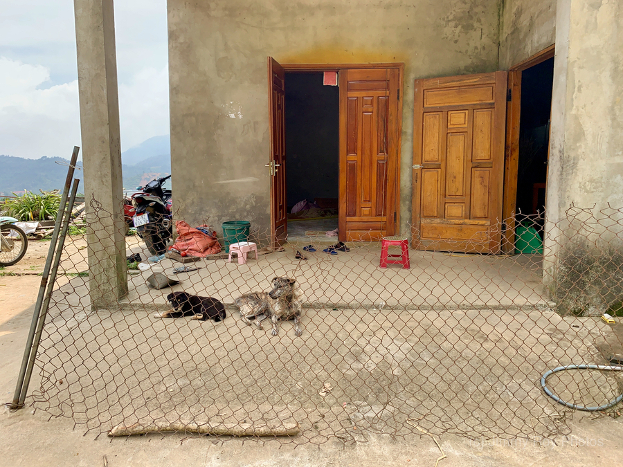 Behind the Crooked Fence  Imprimer