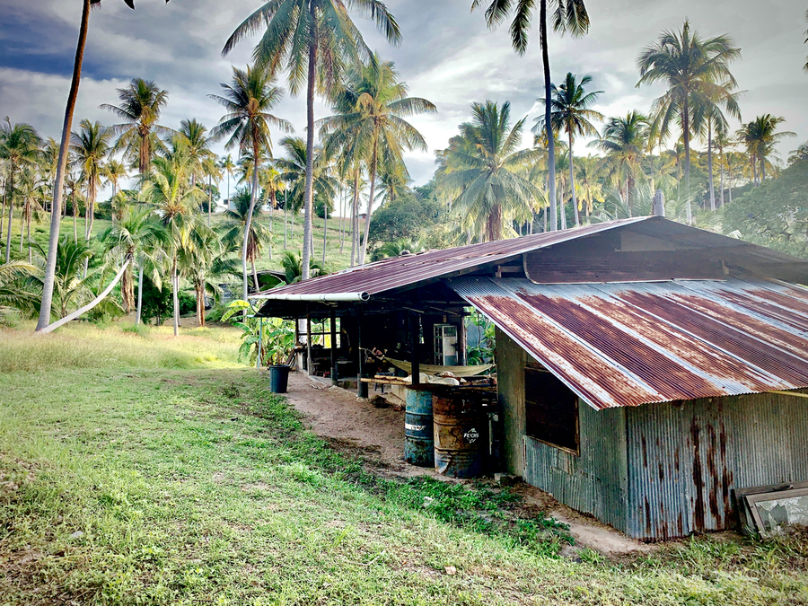 Big Rusty Shack Coconut  Print