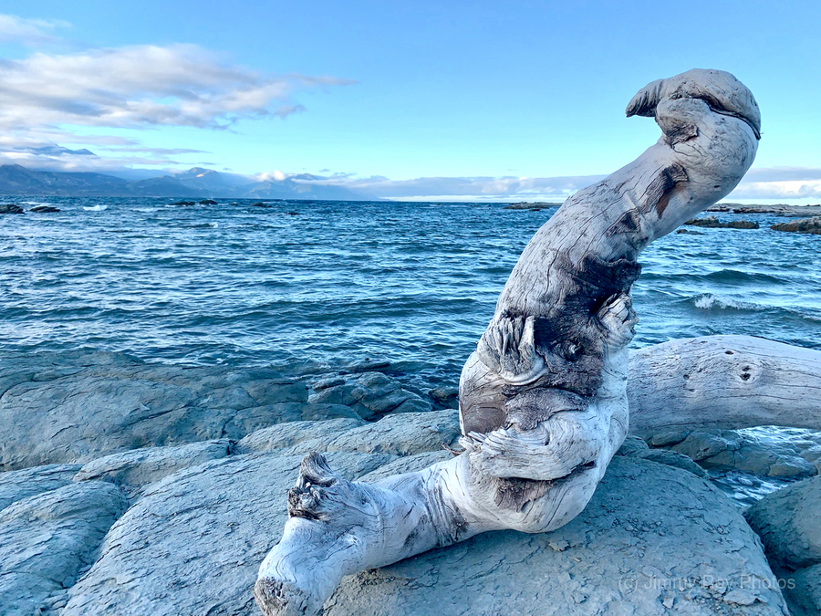 Bird Shaped Wood in Front of the Ocean  Print