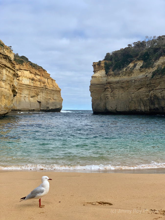 Bird on the Beach 2  Print