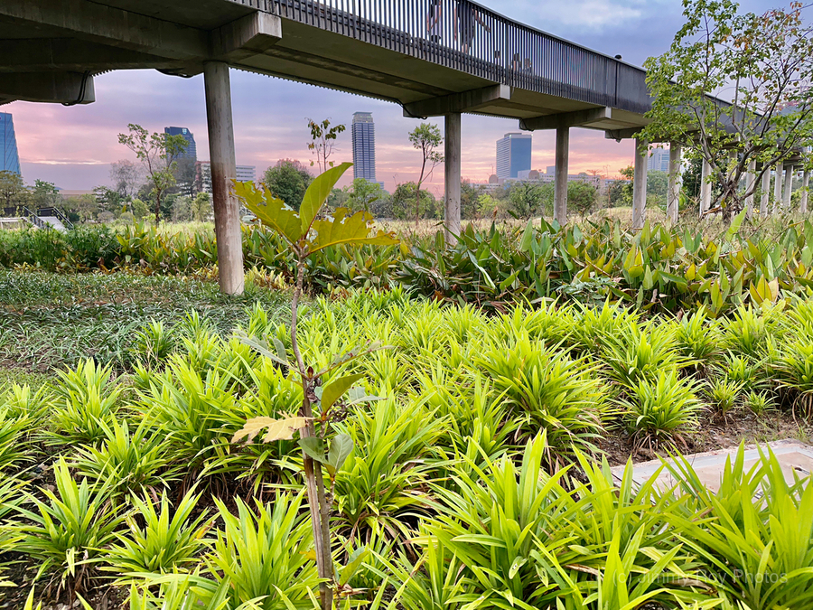 City Under the Bridge  Print