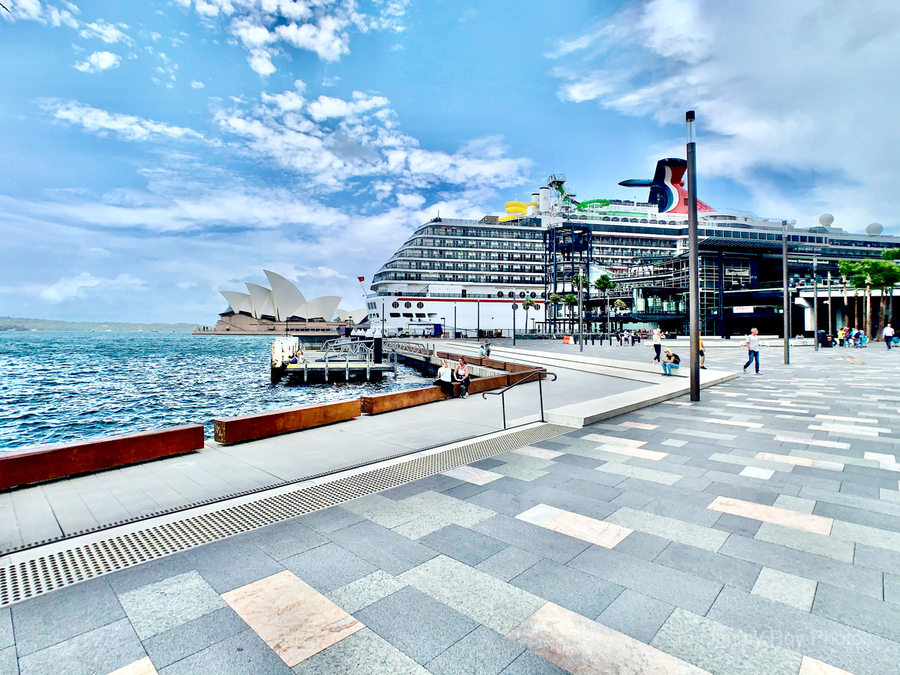 Boat Cruise in Sydney Harbour  Print