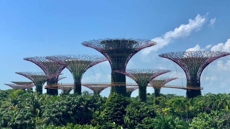 Gardens by the Bay Singapore  Print