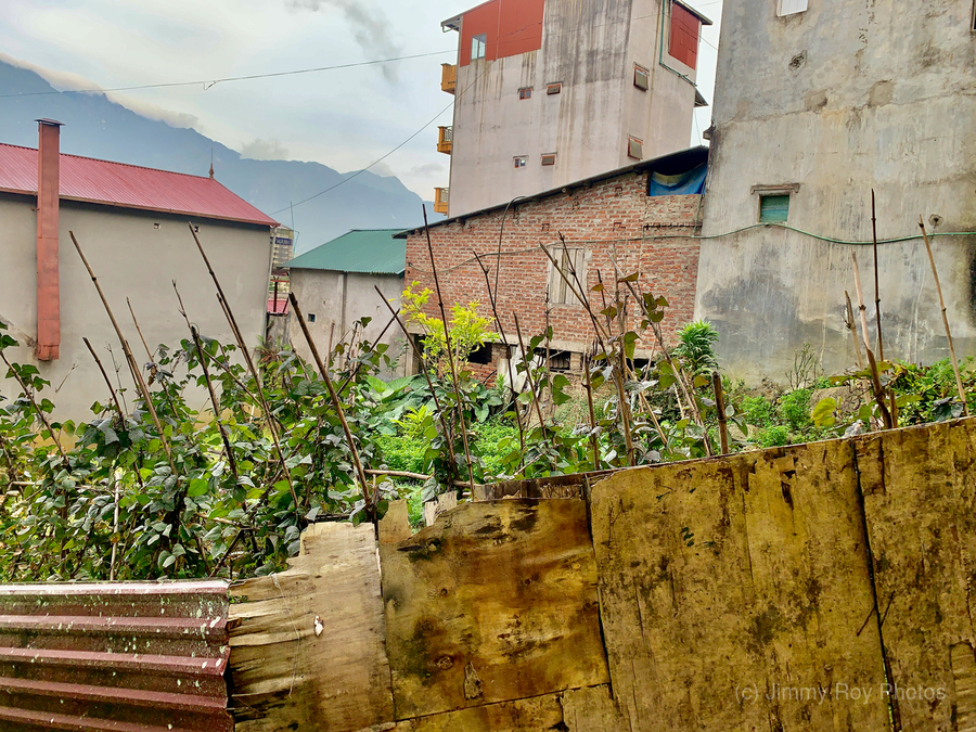Homemade Fence  Print