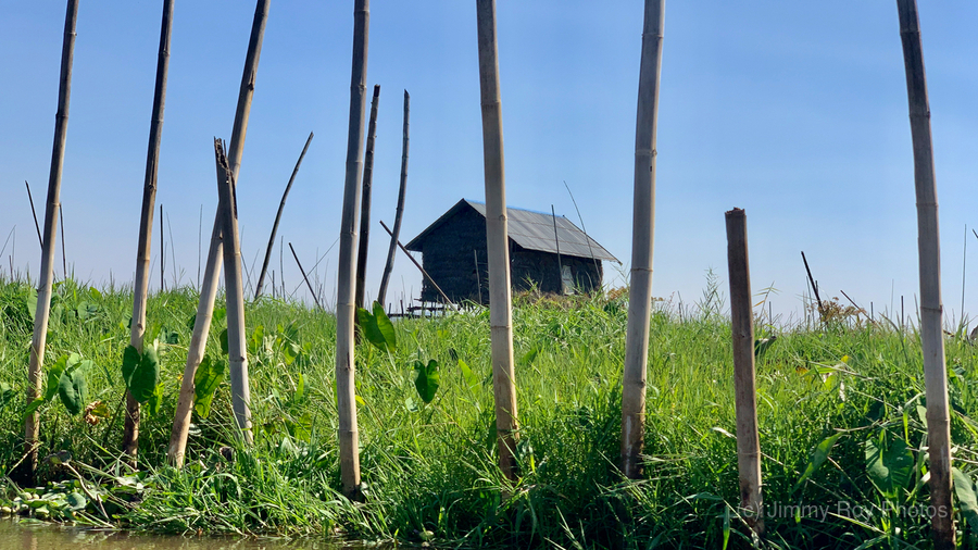 House behind the Bamboos  Print