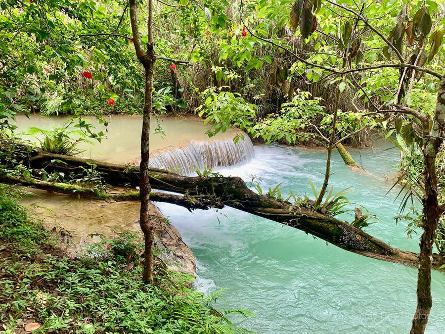 Kuang Si Waterfalls 4  Print