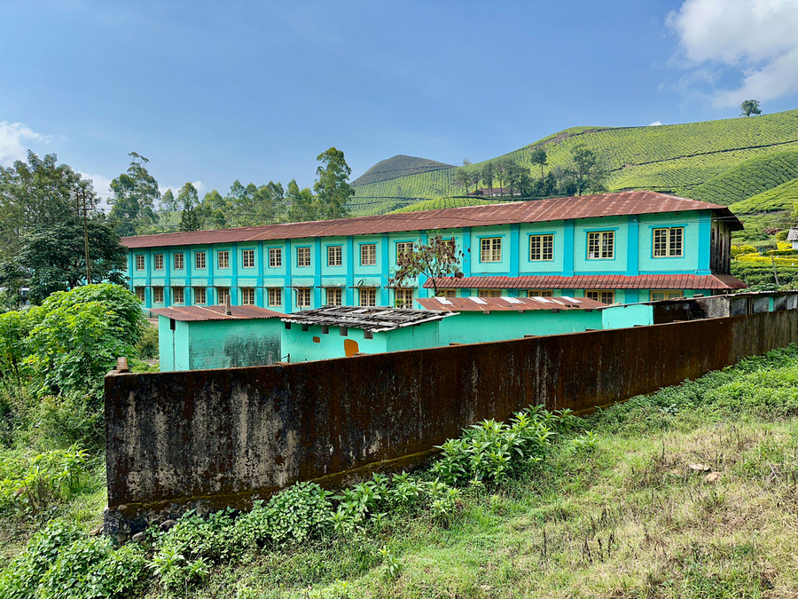 Living in the Tea Plantation  Print