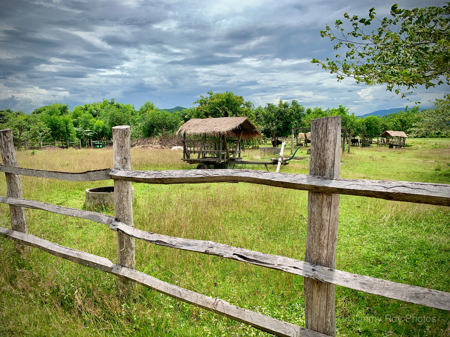 Looking at the Farm  Print