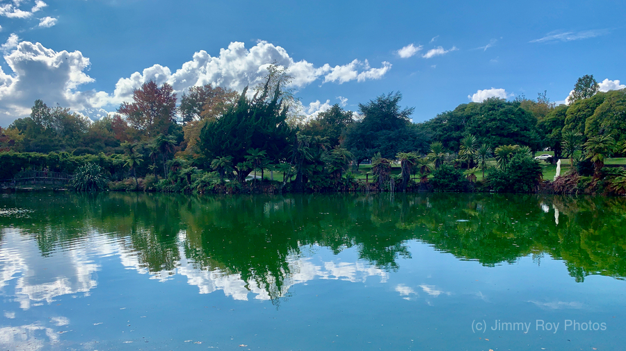 Nature s Own Reflection  Print