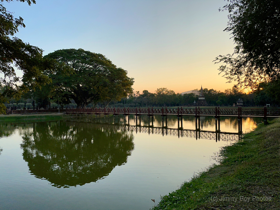Nice Tree Reflection on the Lake  Print