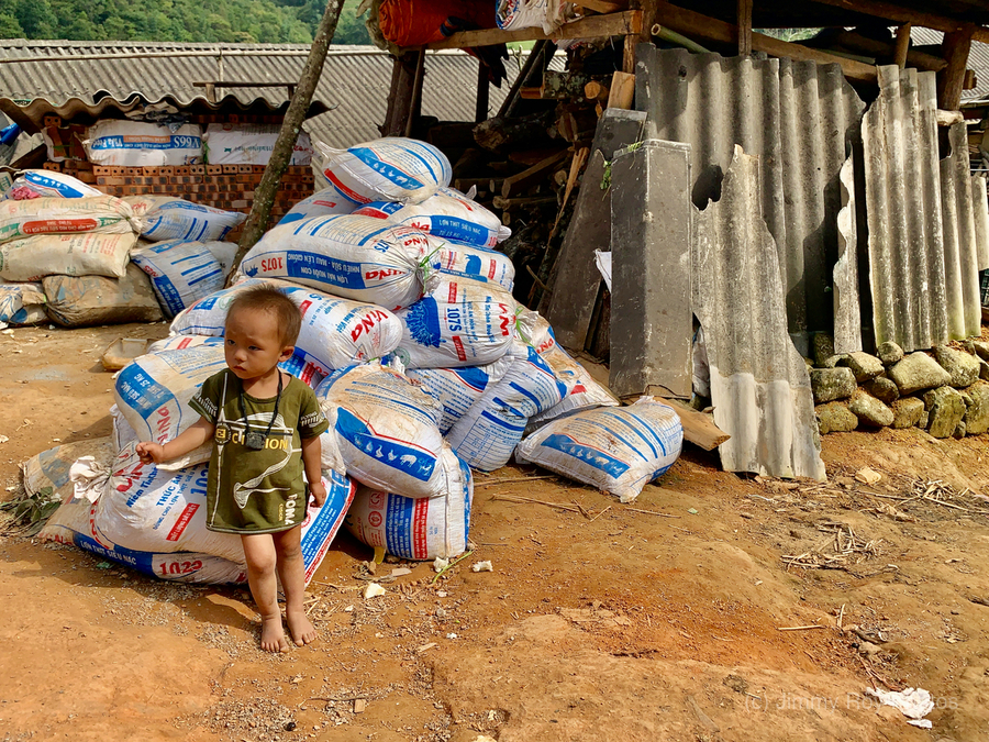 No One Will Touch These Bags  Print