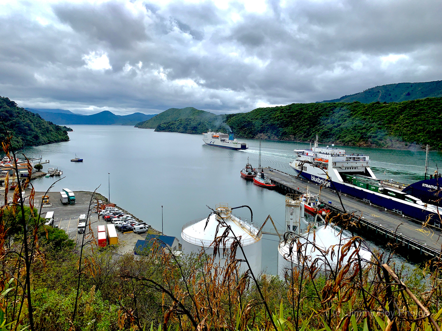 Pictons Ferry New Zealand  Print