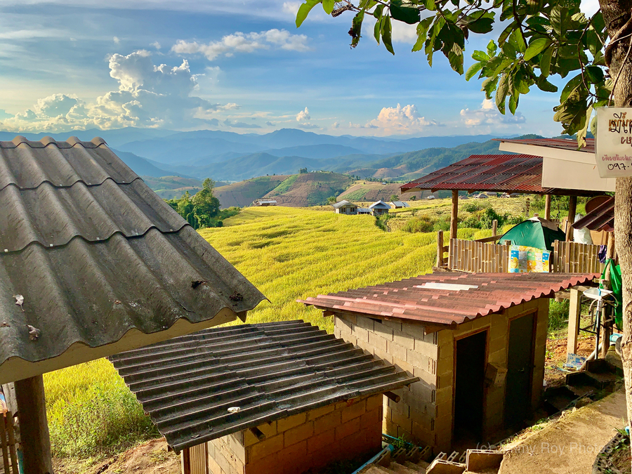 Rice Fields Village  Print