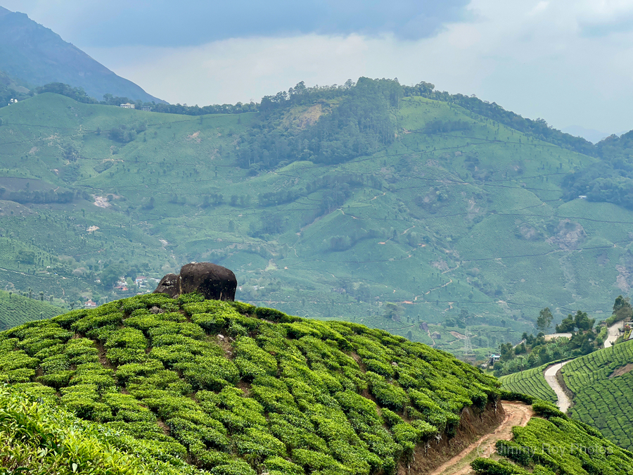 Rock on Top of Tea  Print
