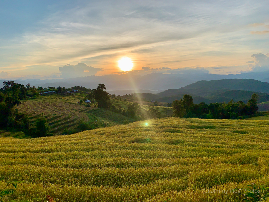 Sunset over the Rice Fields  Print