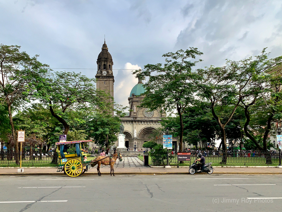 The Manila Cathedral  Print