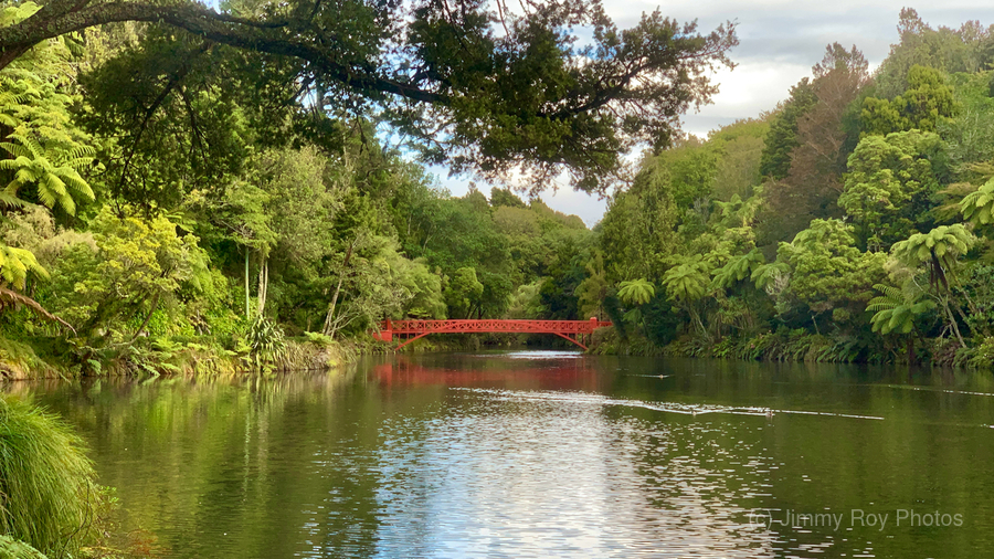 The Red Bridge  Print