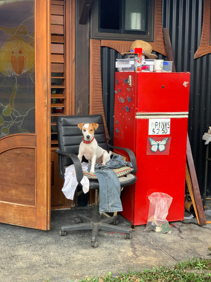 The Red Fridge and the Dog 2  Print