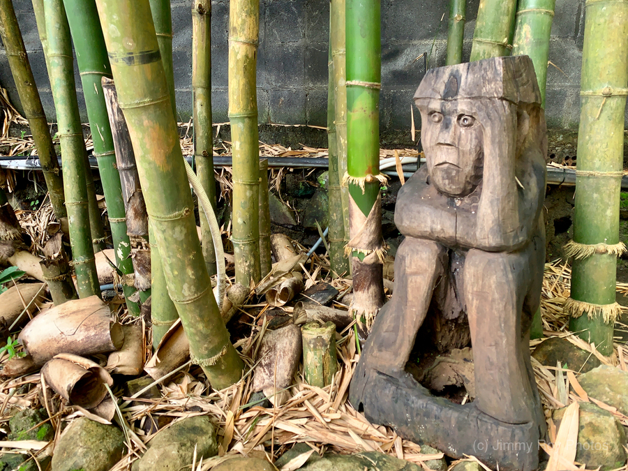 Thinking Wooden Sculpture  Print