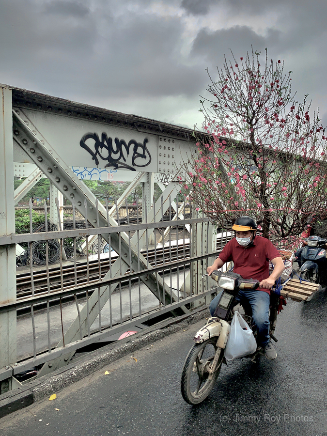 Tree on a Motorbike  Print