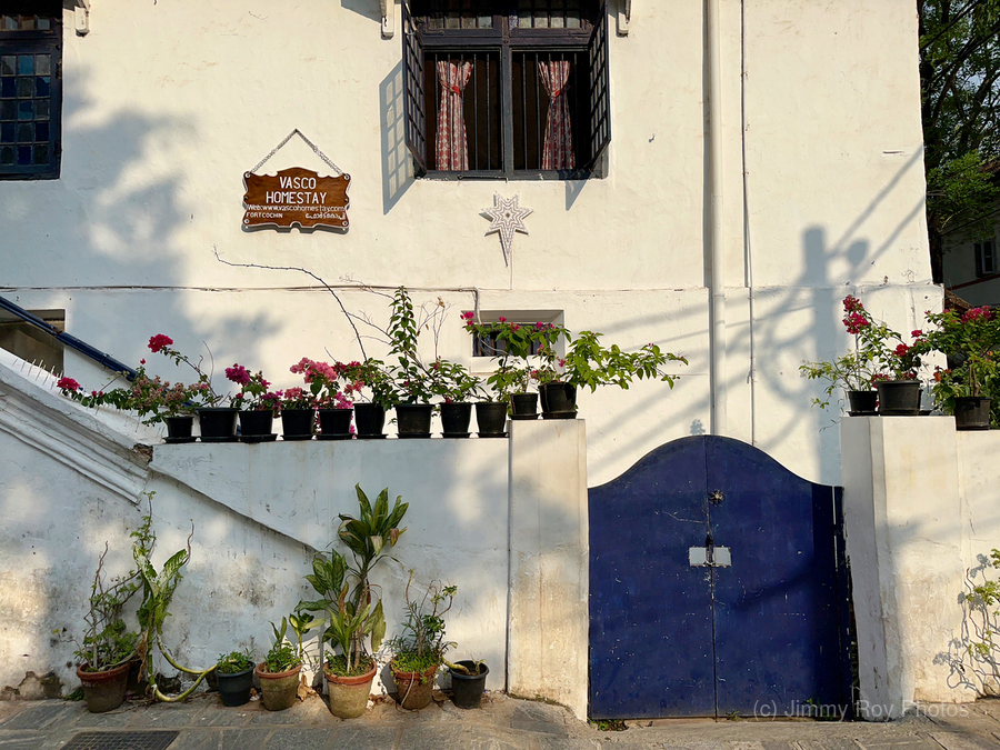 Vasco is not Home  Print