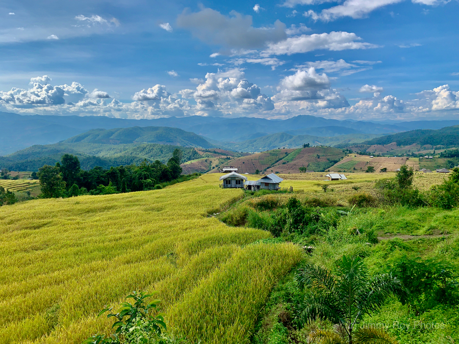 Village in the Rice Fields 3  Print