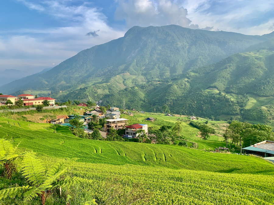 Village in the Rice Fields Sapa  Print
