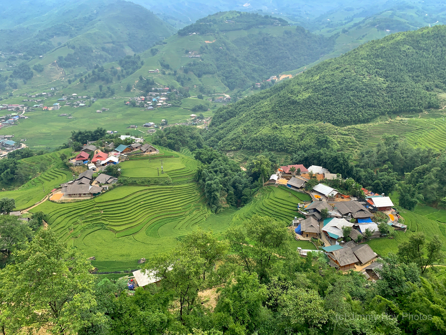 Villages in the Rice Fields  Print
