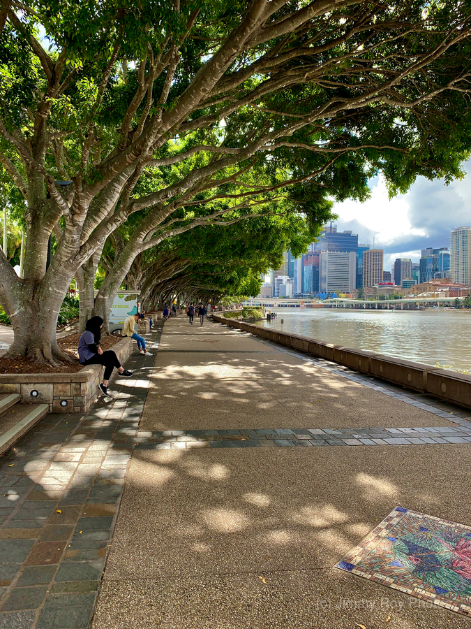 Walking Around Brisbane  Print