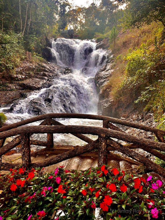 Waterfall and Red Flowers  Print