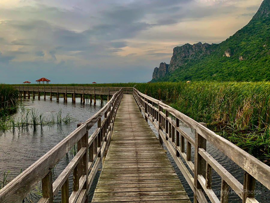Wooden Walkway 2  Print
