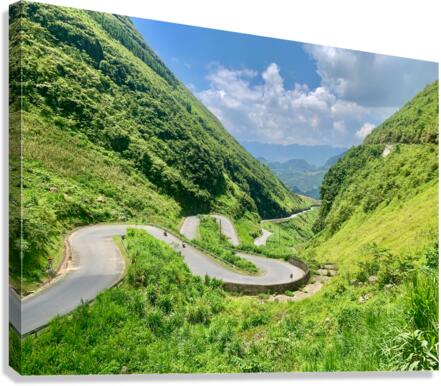 S Road Canvas Print