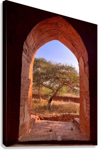 Tree by the window Canvas Print