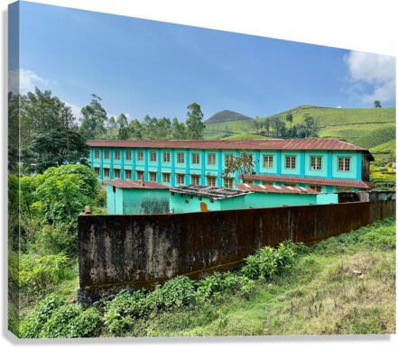 Living in the Tea Plantation Canvas Print