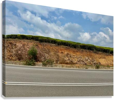 Roadway Canvas Print