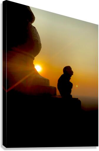 Enlightened Monkey at Sunset  Impression sur toile