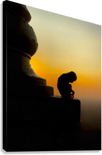 Meditative Monkey at Sunset Canvas Print