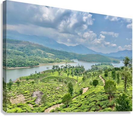 Beautiful River Through Tea Plantations Canvas Print