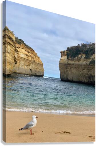 Bird on the Beach 2 Canvas Print